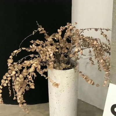 资阳福瑞交流群